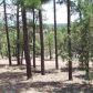 Lot 9 Pine Oaks, Show Low, AZ 85901 ID:1314691