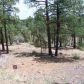 Lot 9 Pine Oaks, Show Low, AZ 85901 ID:1314693