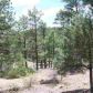 Lot 9 Pine Oaks, Show Low, AZ 85901 ID:1314695