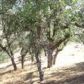 Mustang Dr, lot 122A, Tehachapi, CA 93561 ID:1674701