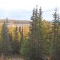 52948 Hermansen Drive, Kasilof, AK 99610 ID:1077902