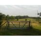 972 Co RD 944, Cullman, AL 35057 ID:1634043