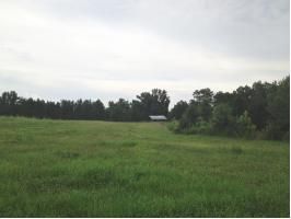 County Road 617, Cullman, AL 35057