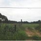 County Road 617, Cullman, AL 35057 ID:1634141