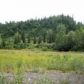 Lot 91 Cache Creek Recreational, Trapper Creek, AK 99683 ID:1084149