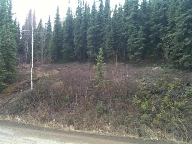 1949 Red Berry Road, Fairbanks, AK 99709