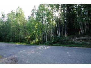 nhn Hillside Drive, Lot 1, Fairbanks, AK 99709