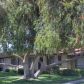 2433 N 23rd Ave, Phoenix, AZ 85009 ID:97970