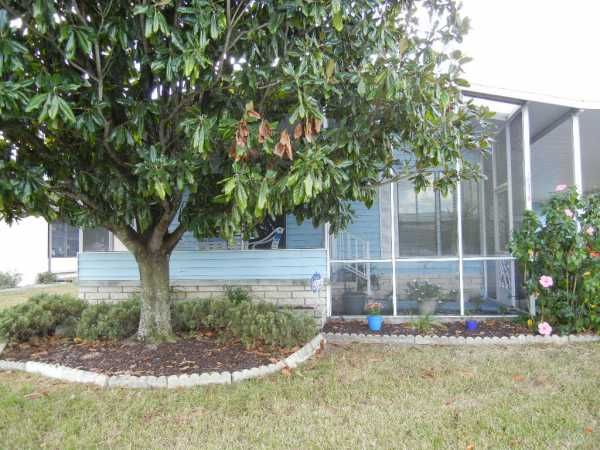 10916 Arroba Cove, New Port Richey, FL 34655