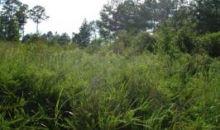 LOT 2 CAIN CREEK Sylacauga, AL 35151