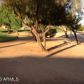 1249 S SANDSTONE Street, Gilbert, AZ 85296 ID:1456188