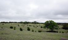 3338 Duderstadt Road Harper, TX 78631