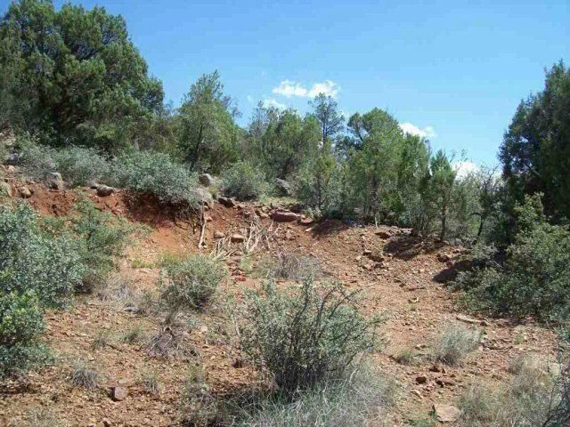 402 W. Jones Drive, Payson, AZ 85541