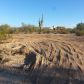 4750 W Linda Vista, Tucson, AZ 85742 ID:1958946