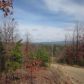 6 Falcon Ridge Trail, Hot Springs Village, AR 71909 ID:1353998