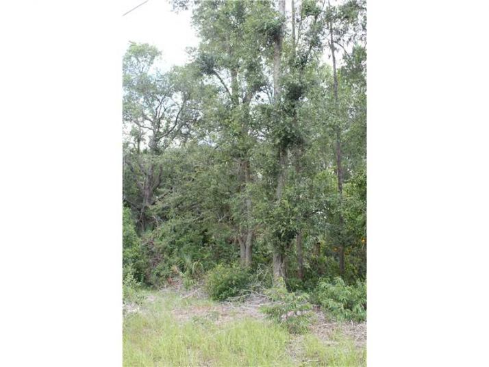 49TH STREET ROAD, Ocklawaha, FL 32179