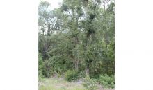 49TH STREET ROAD Ocklawaha, FL 32179