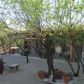 11225 E Edison, Tucson, AZ 85749 ID:1651318