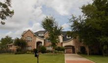 10 Big Leaf Court Missouri City, TX 77459