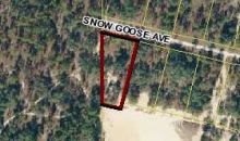 0 Snow Goose Avenue Brooksville, FL 34601