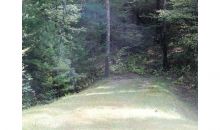 0 Lot 14 Francis Drive Ellijay, GA 30540