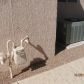 21509 N VERDE RIDGE Drive, Sun City West, AZ 85375 ID:1978545