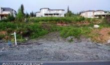 16624 Waterford Pointe Circle Anchorage, AK 99516