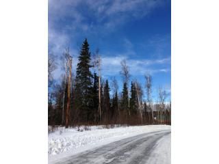 9171 W O'Brien Creek Drive, Wasilla, AK 99654