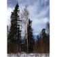 9171 W O'Brien Creek Drive, Wasilla, AK 99654 ID:1080388