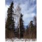 9171 W O'Brien Creek Drive, Wasilla, AK 99654 ID:1080390