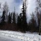 9171 W O'Brien Creek Drive, Wasilla, AK 99654 ID:1080392