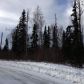 9171 W O'Brien Creek Drive, Wasilla, AK 99654 ID:1080393