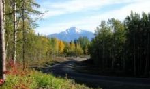 L2B2(6475) N Kettle Drive Palmer, AK 99645