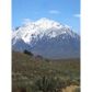 5173 Westridge Rd., Bishop, CA 93514 ID:1705737