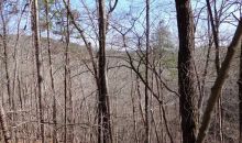 0 Deer Run Drive Dahlonega, GA 30533