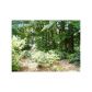 7027 Somerset Circle, Alpharetta, GA 30004 ID:2741207