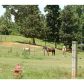 0 New Hope Road, Toccoa, GA 30577 ID:2677512