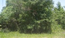 0 4th Way (Lot 41) Interlachen, FL 32148