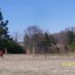 3204 Millstone Creek Road, Lancaster, SC 29720 ID:194915