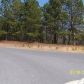 3204 Millstone Creek Road, Lancaster, SC 29720 ID:194917