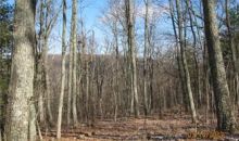 Lot 18 Delafield Rd Hot Springs, VA 24445