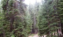 Dinkey Creek Road - 133-240-18 Shaver Lake, CA 93664