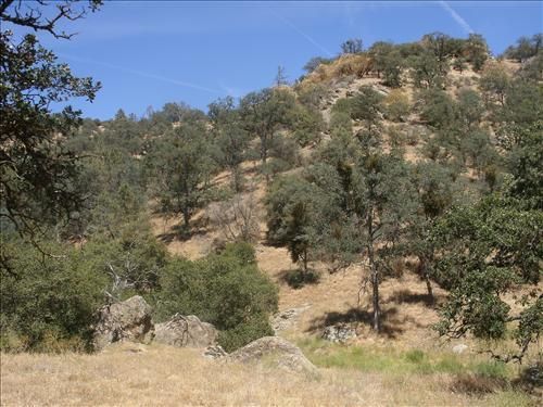 Jack Springs Rd, lot 13, Tehachapi, CA 93561