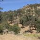 Jack Springs Rd, lot 13, Tehachapi, CA 93561 ID:1675101