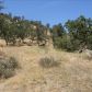 Jack Springs Rd, lot 13, Tehachapi, CA 93561 ID:1675102