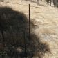 Jack Springs Rd, lot 13, Tehachapi, CA 93561 ID:1675103