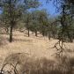 Jack Springs Rd, lot 13, Tehachapi, CA 93561 ID:1675106