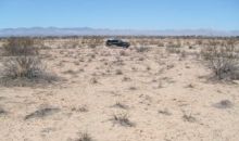 Vacant Land Lot #24 Mojave, CA 93501