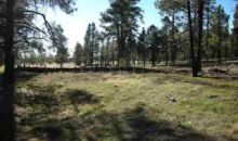 30 Acres 7.85 Miles S Vernon Pinetop, AZ 85935