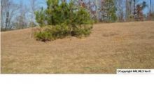 Lot 10 Chula Vista Ridge Drive Decatur, AL 35603